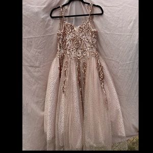 Rose gold dress